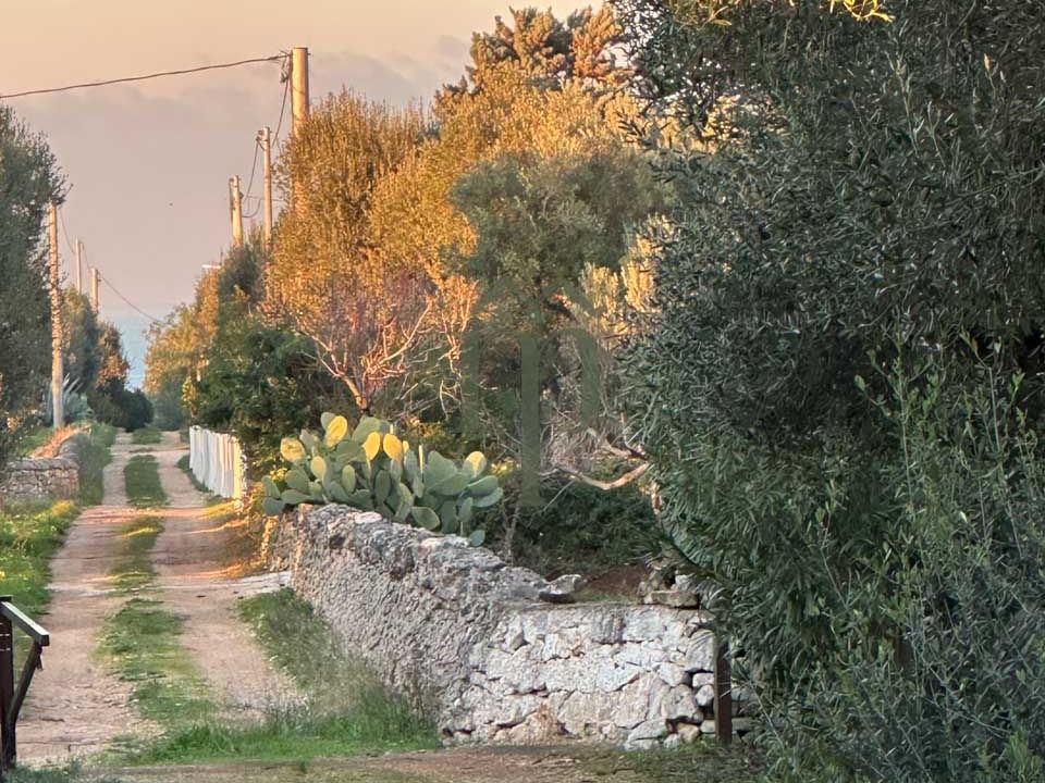 Ruin i Ostuni, Brindisi - bilde 2